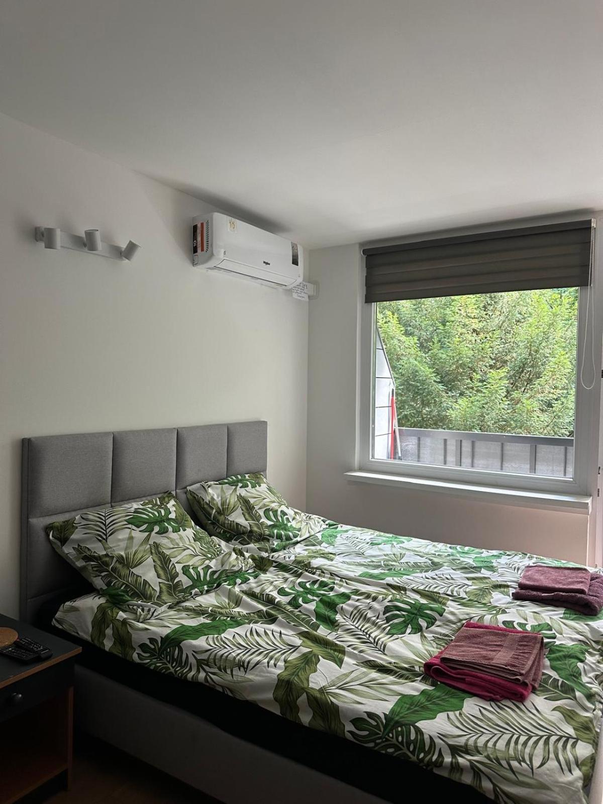 Apartament 221 Przy Niedzwiadku بولانيكا- زدروي المظهر الخارجي الصورة